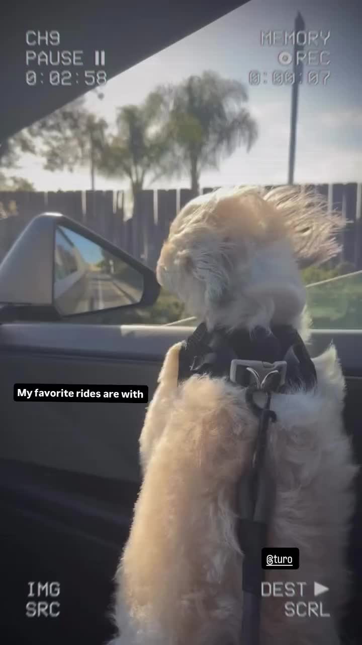 @turo_siesvida