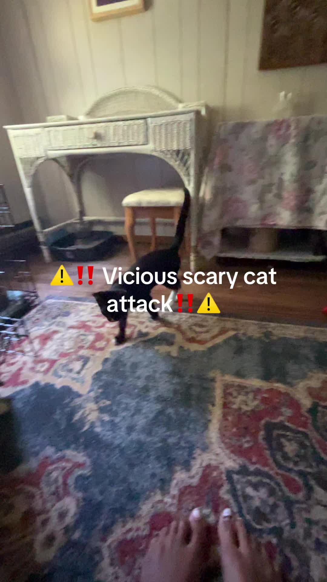 @unicornnnn123