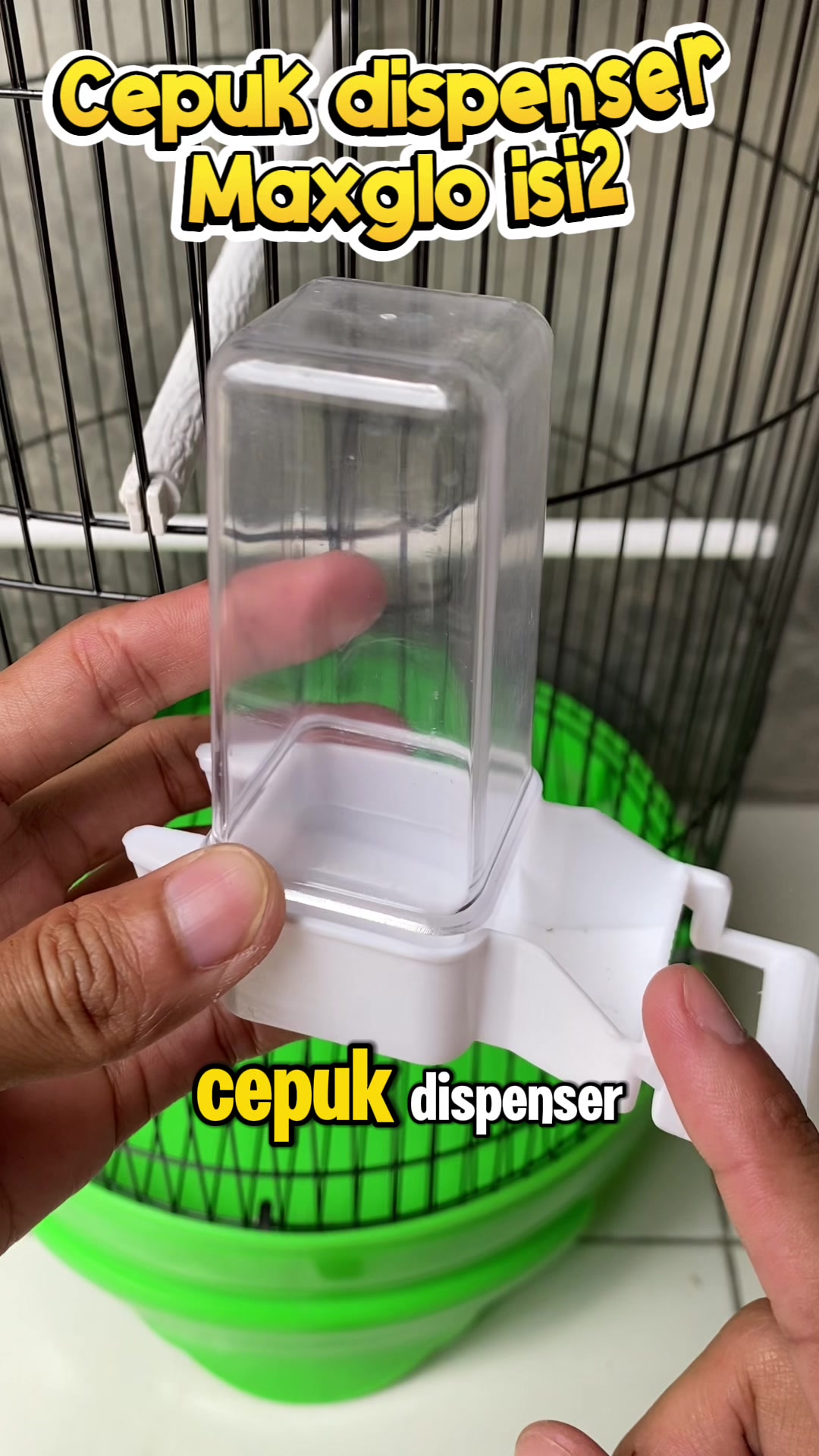 @kicau mart