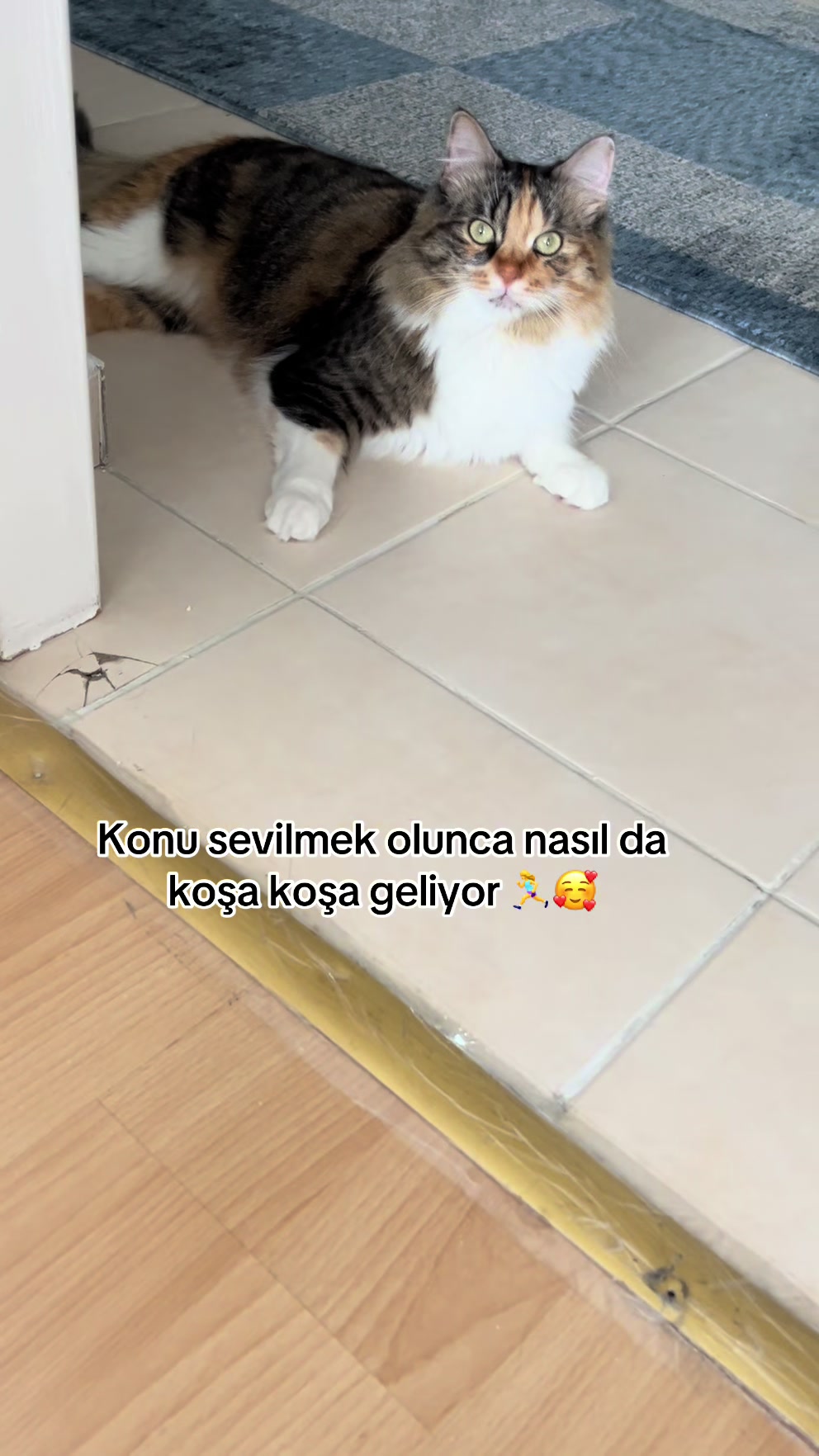 @konusankediminnos
