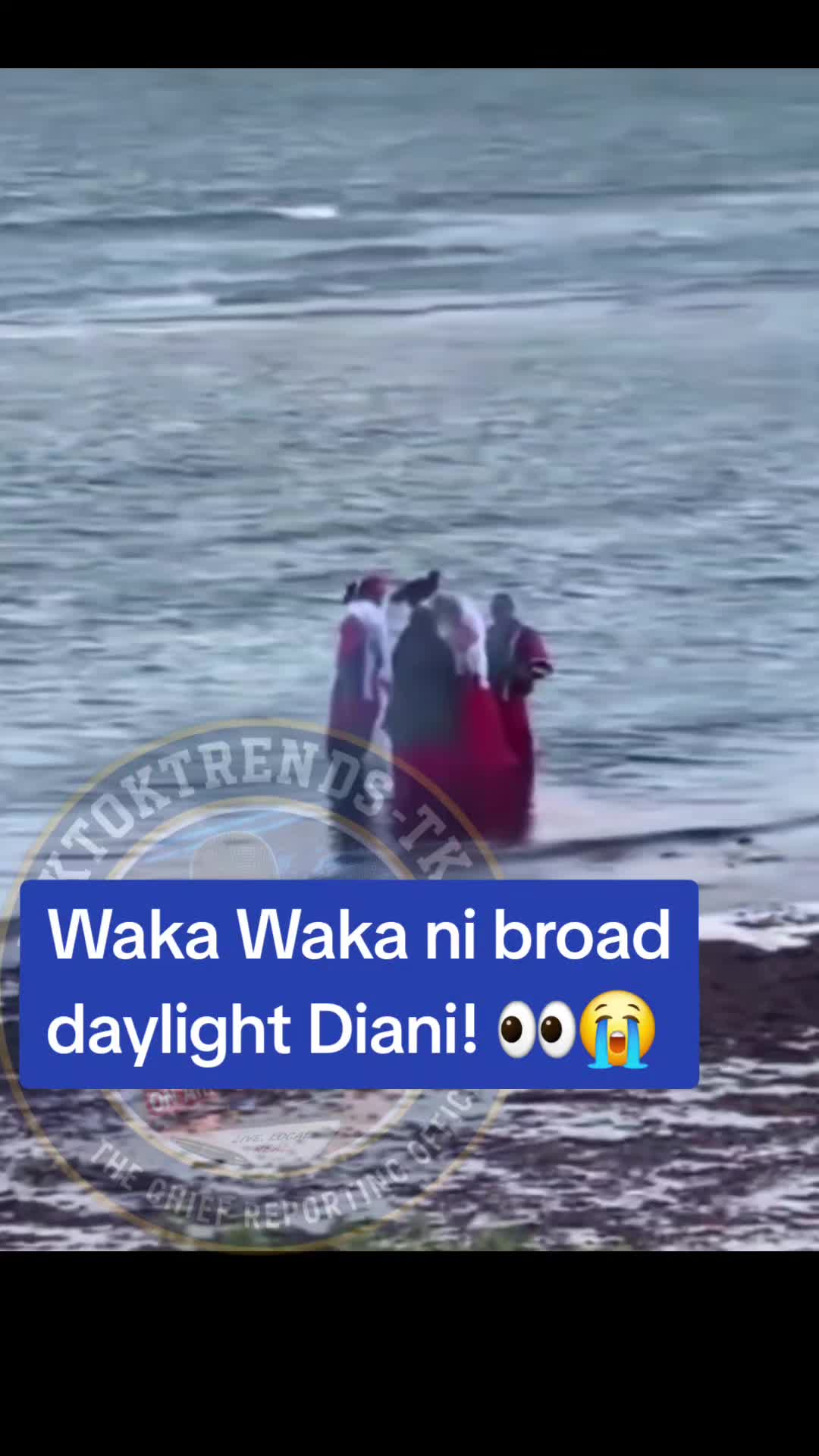 @TiktokTrends_TK