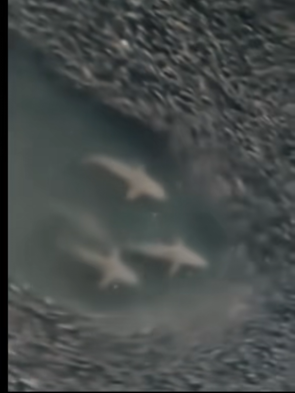 @521 майкаин 360&deg;