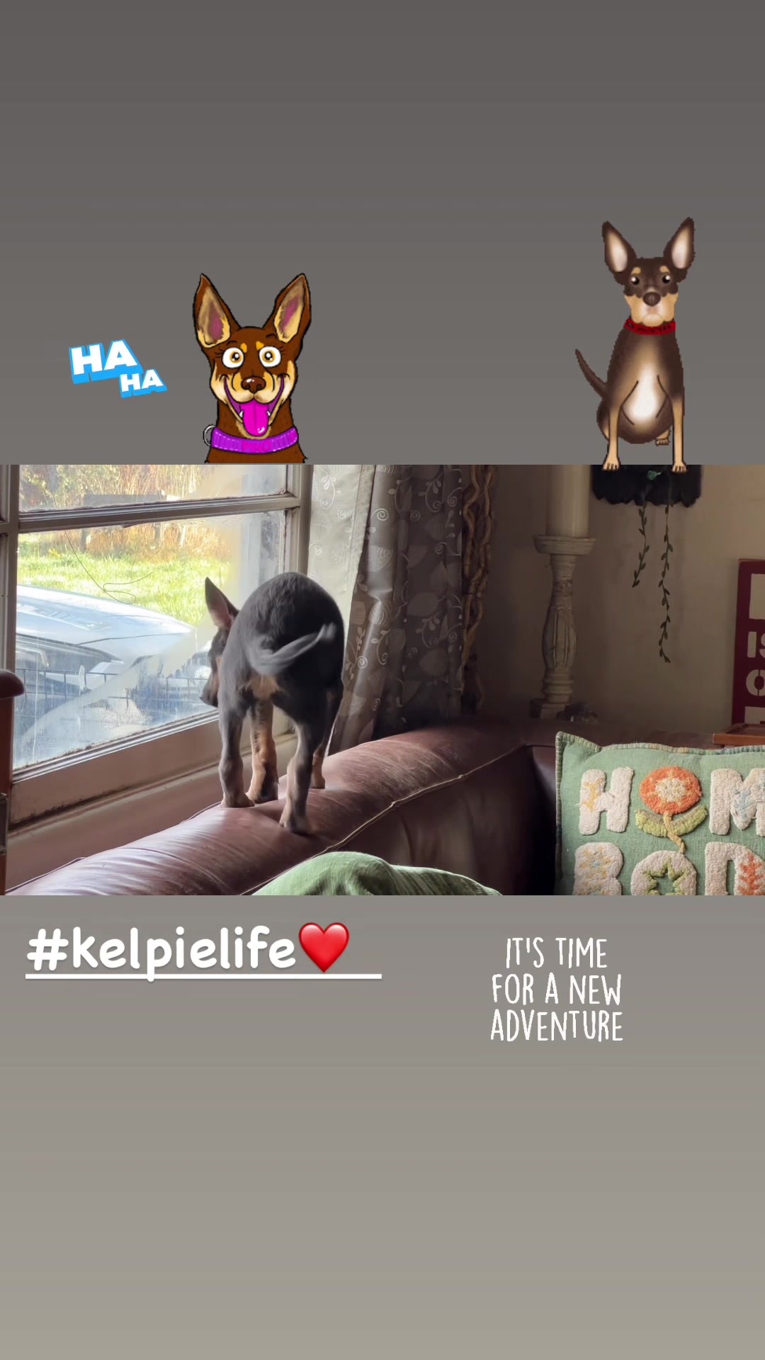 @creaturekeepers