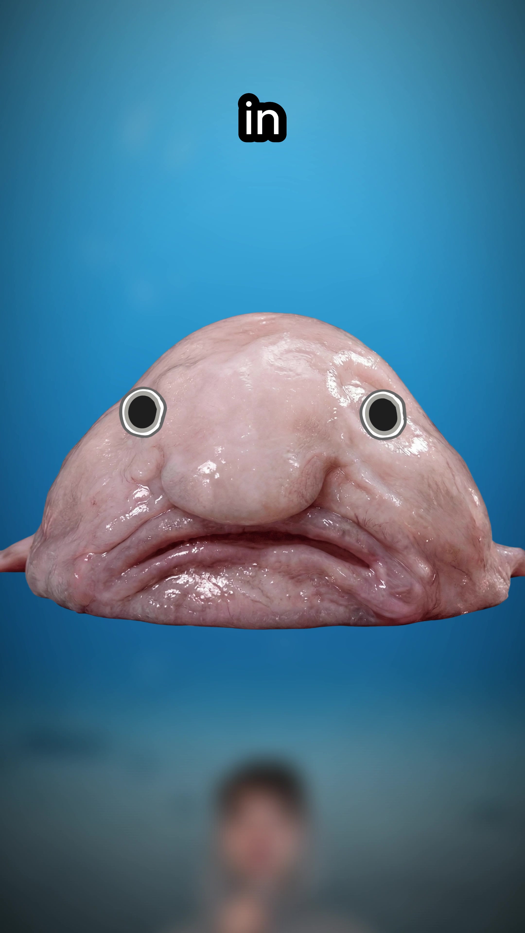 @HoodieGuy
