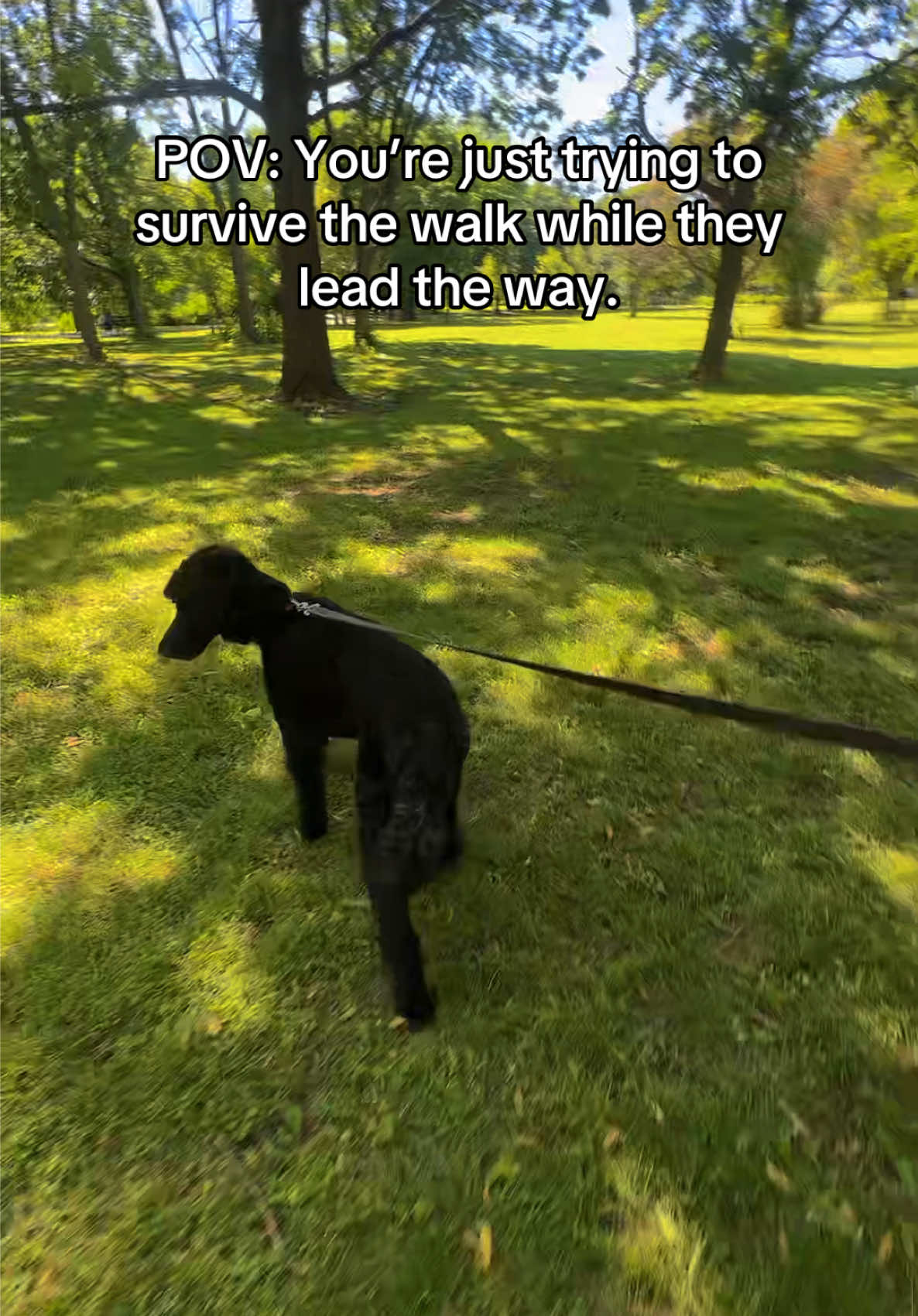 @packwalkdiaries