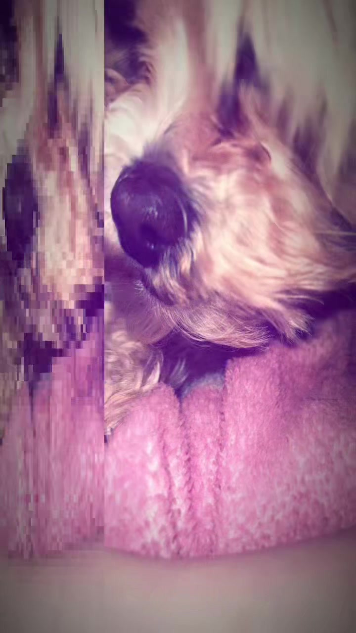 @😵