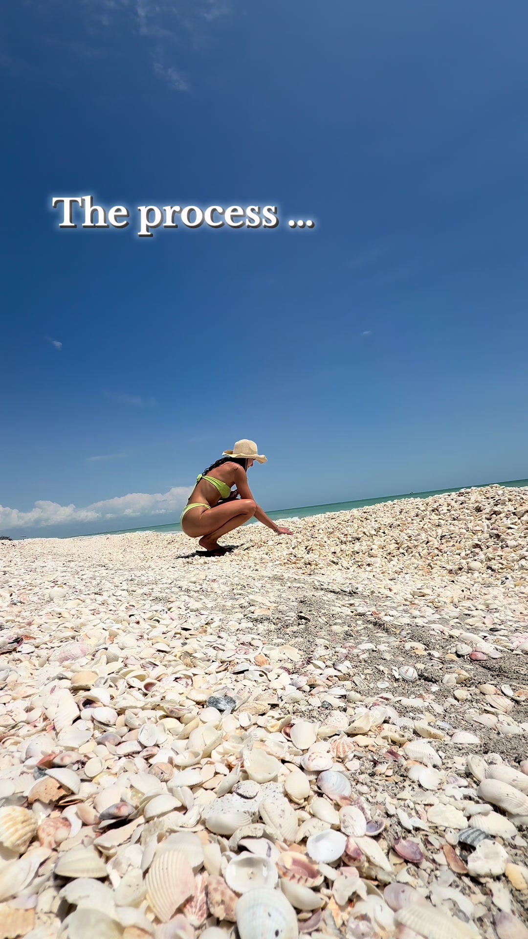 @Sanibel Sis