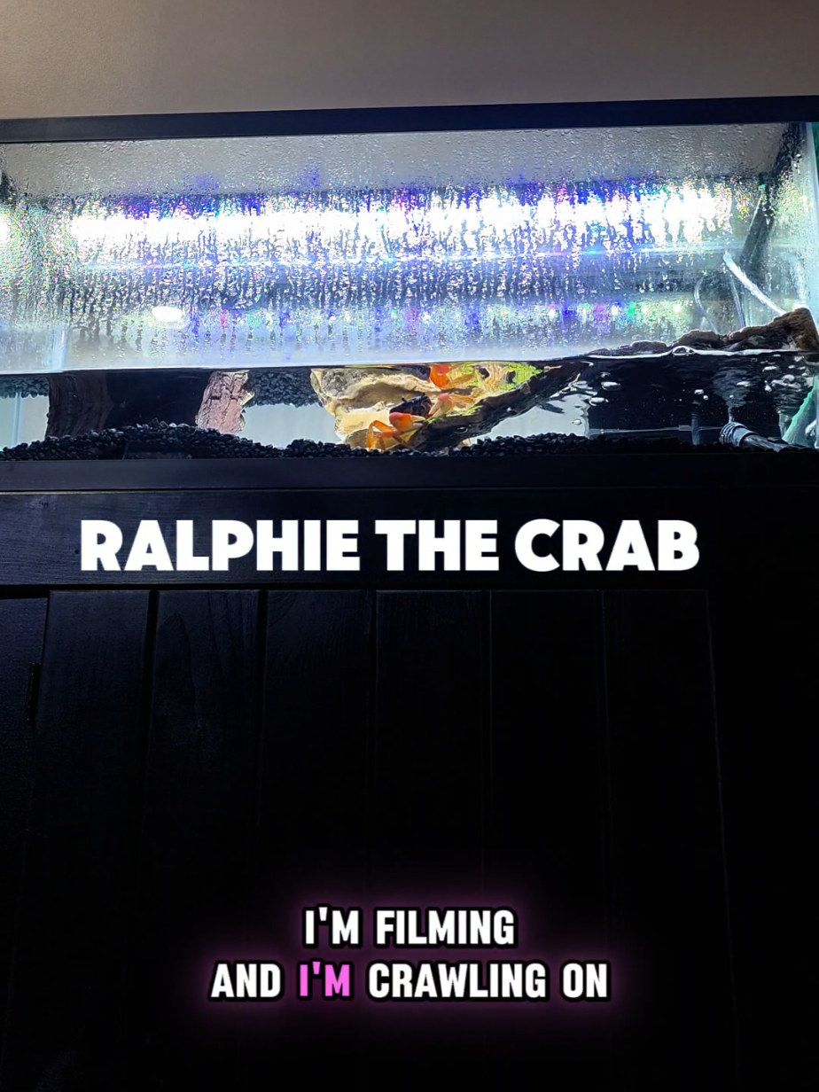 @Howie The Crab