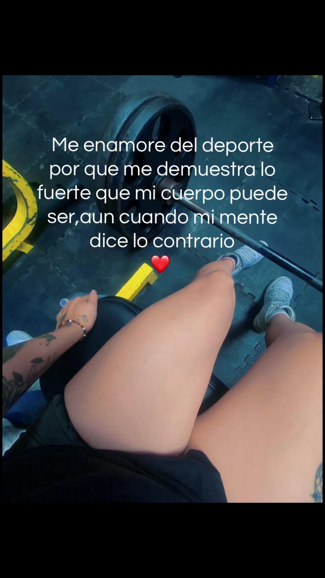 @vane vc