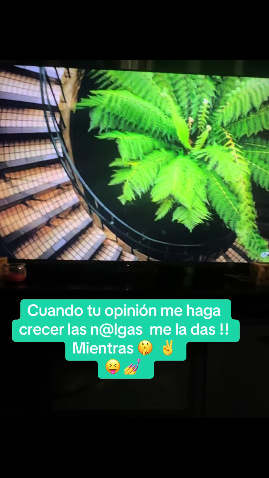 @Tania 🩵