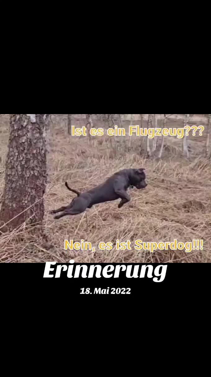 @🔥🔥P.Fuego 🔥🔥
