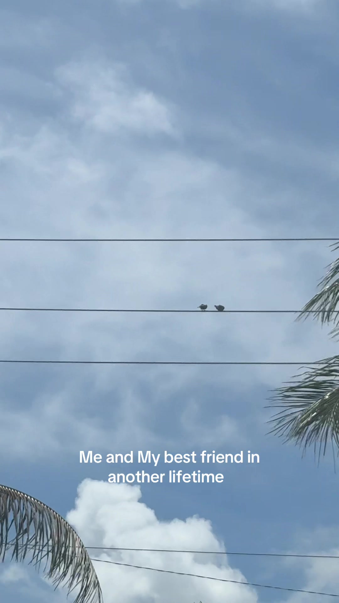 @Ashley Raphael