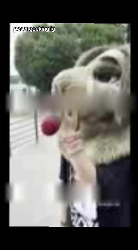 @Żul polny