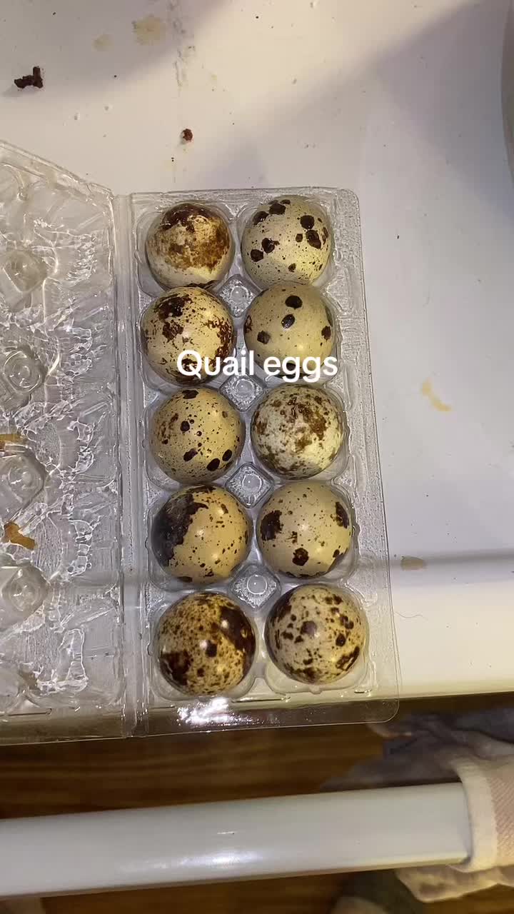 @bmbb3333