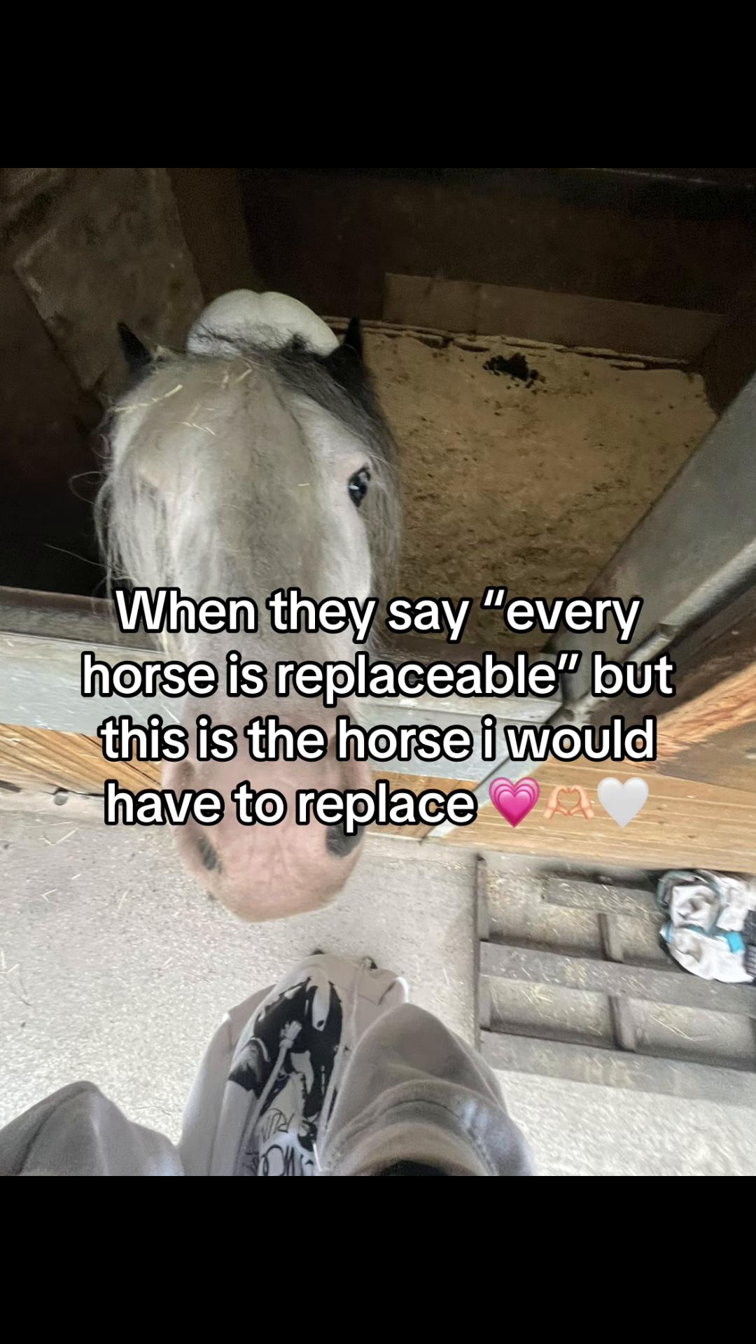 @Emilyy🐎🐴💗
