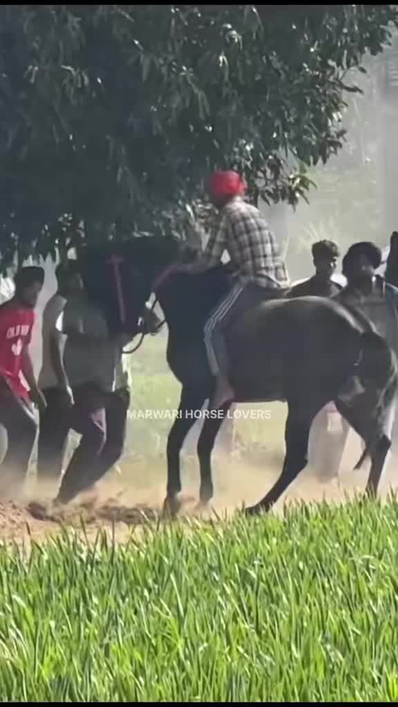 @🚩 راوی الہ 🚩