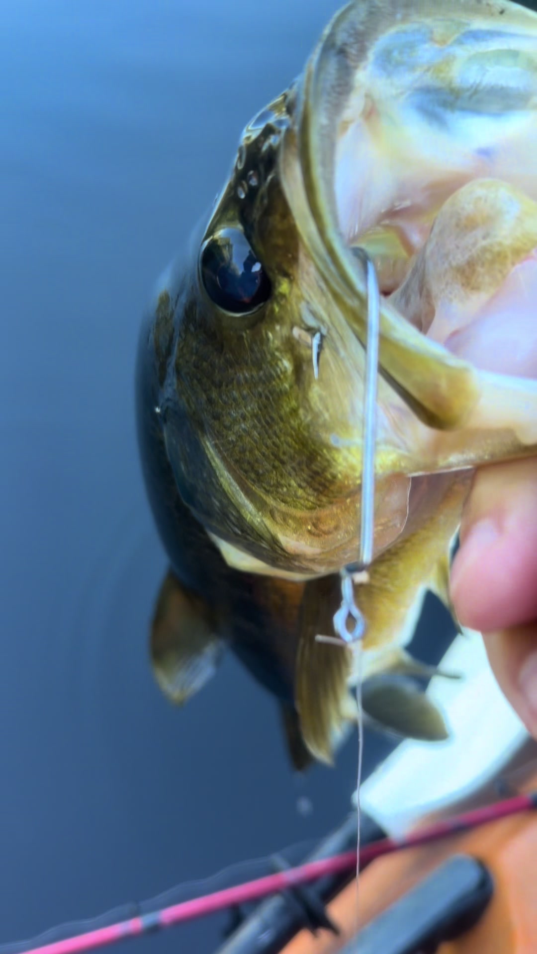 @wildbillfishing