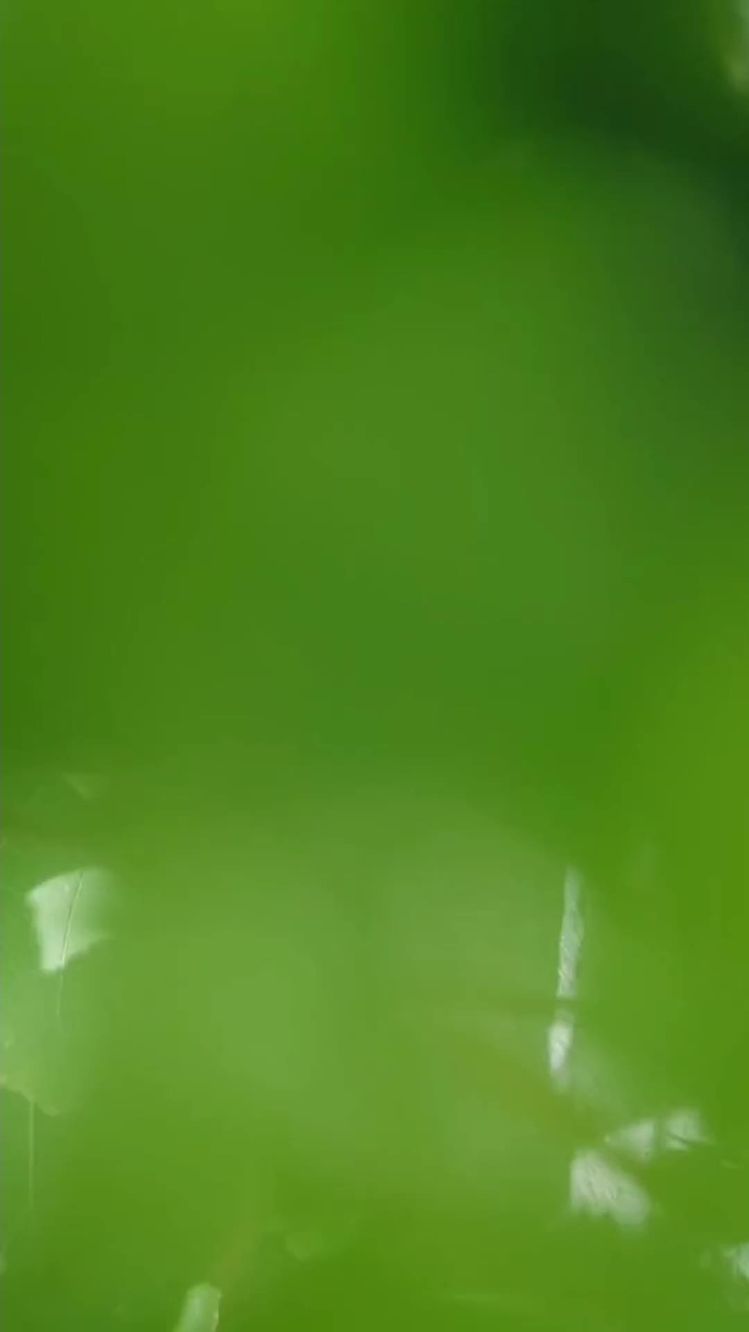@GuYue