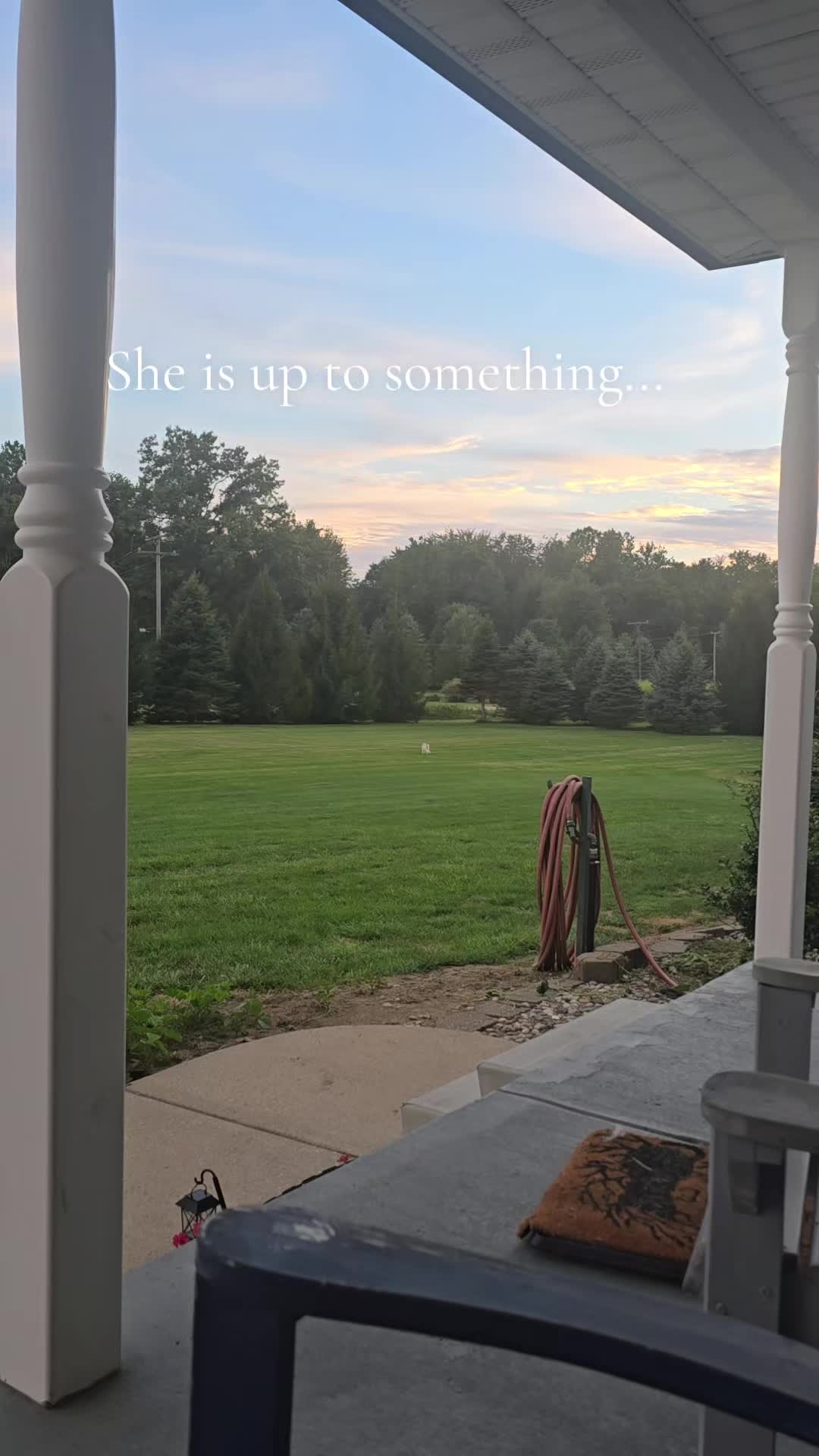 @ChelseyMartin