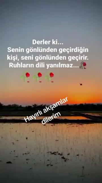 @BİR SER&Ccedil;ENİN G&Ouml;ZYAŞ🕊️🕊️🕊️