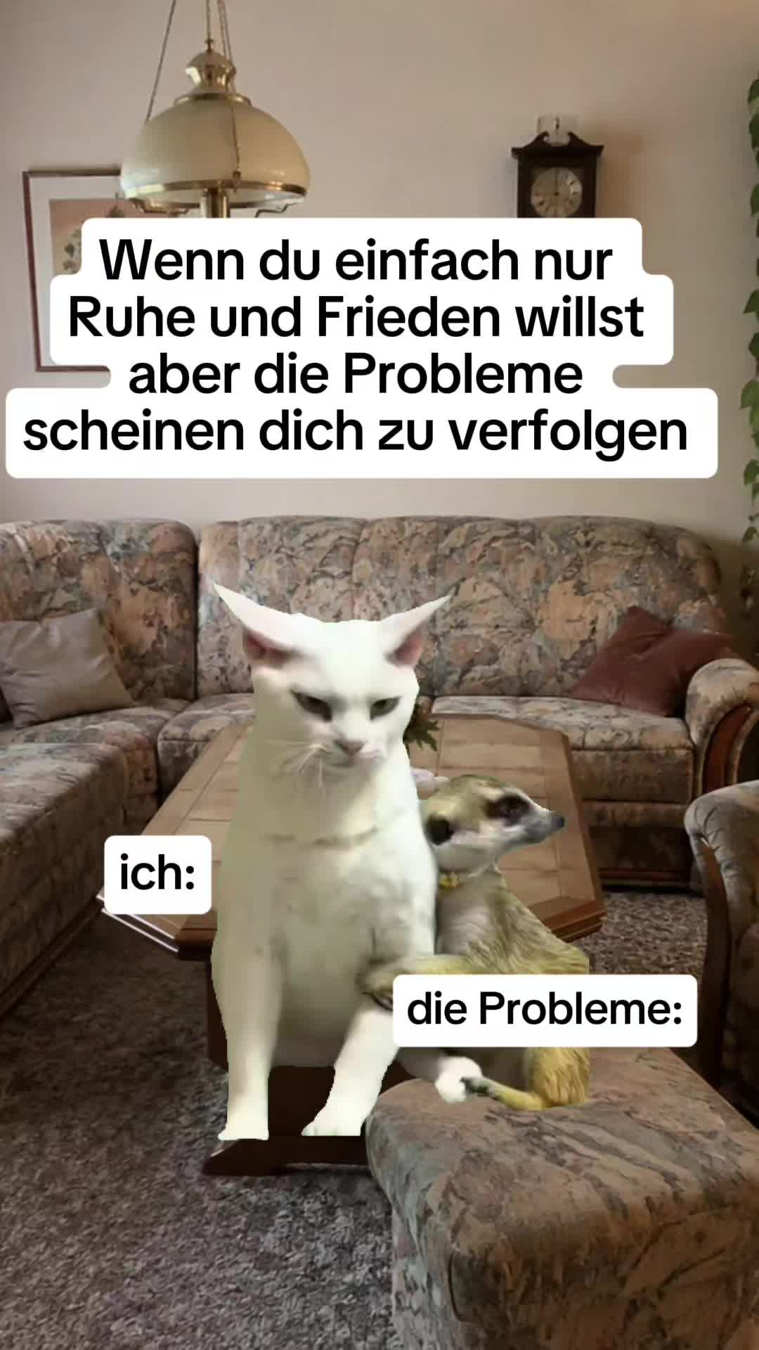 @teddys_tok_