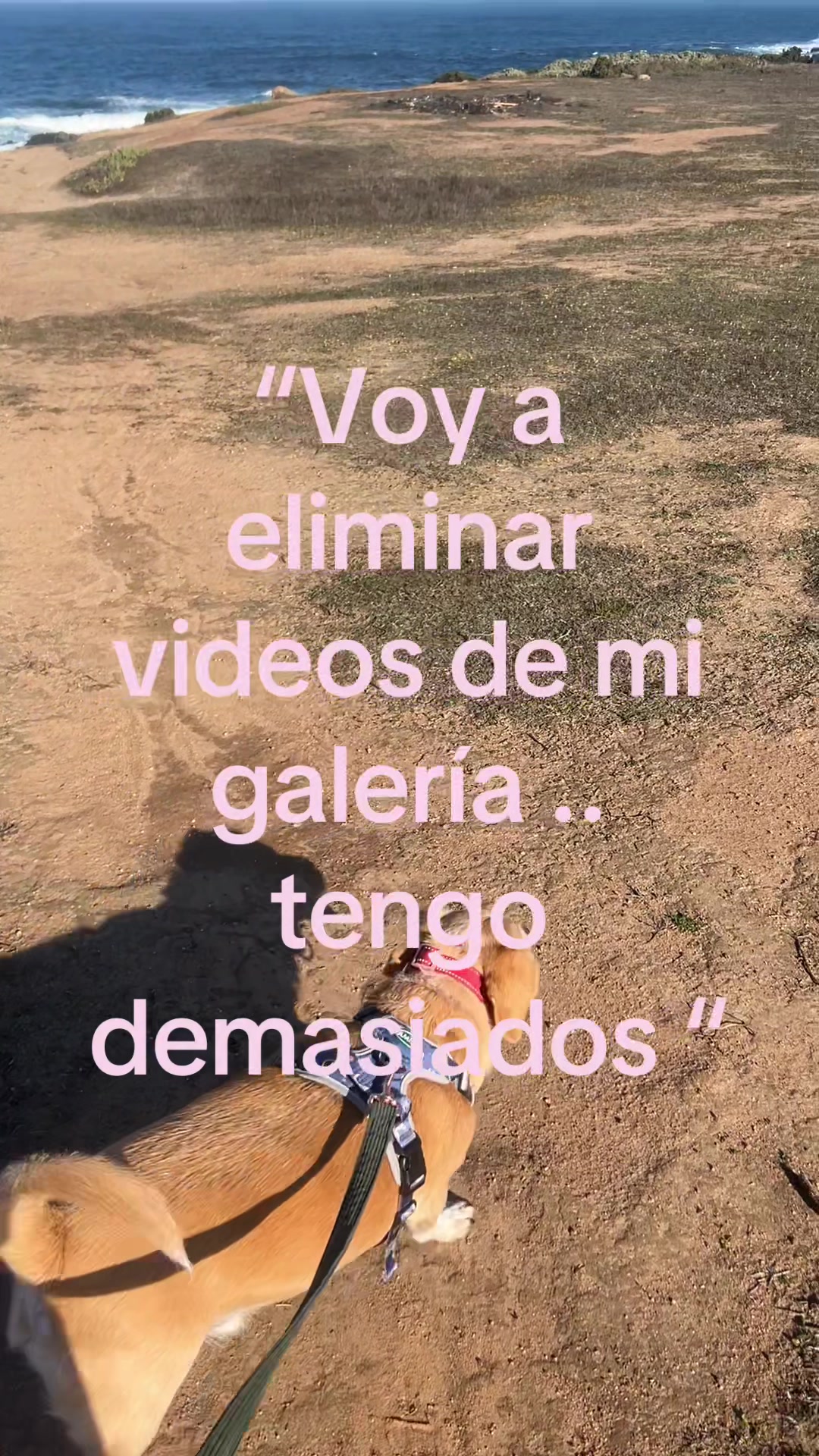 @wangny