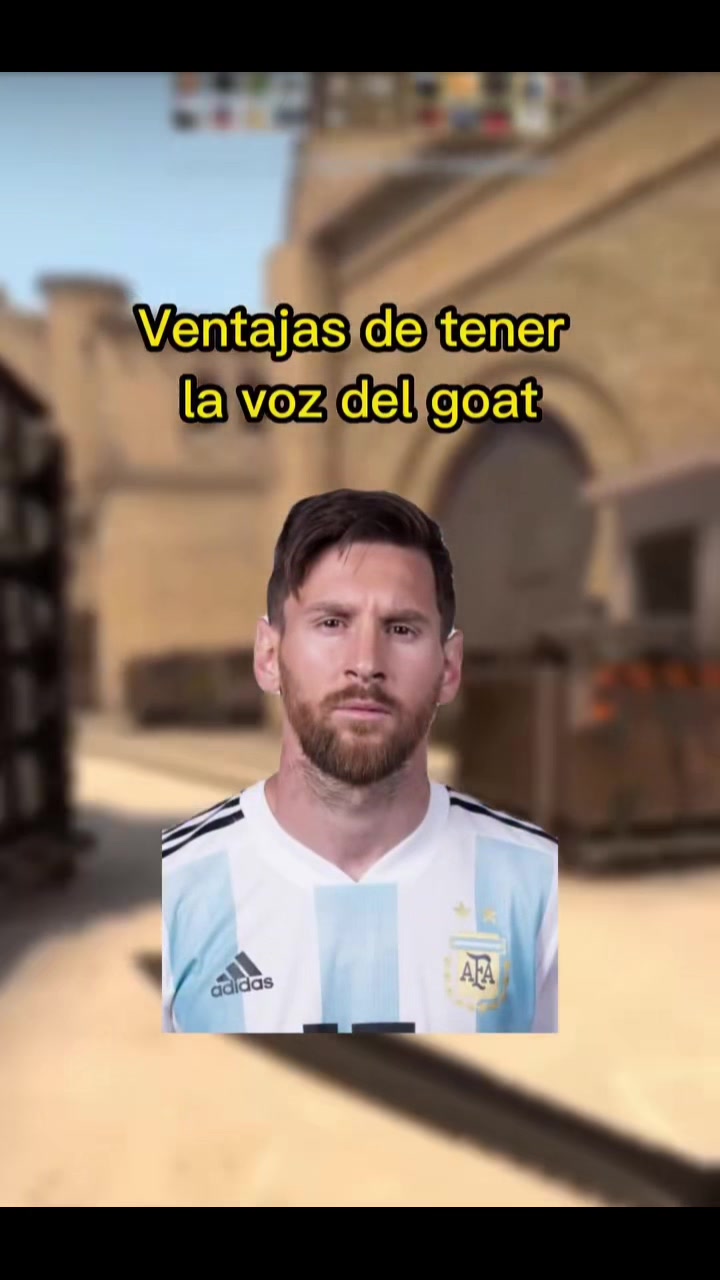 @camalardo.cs