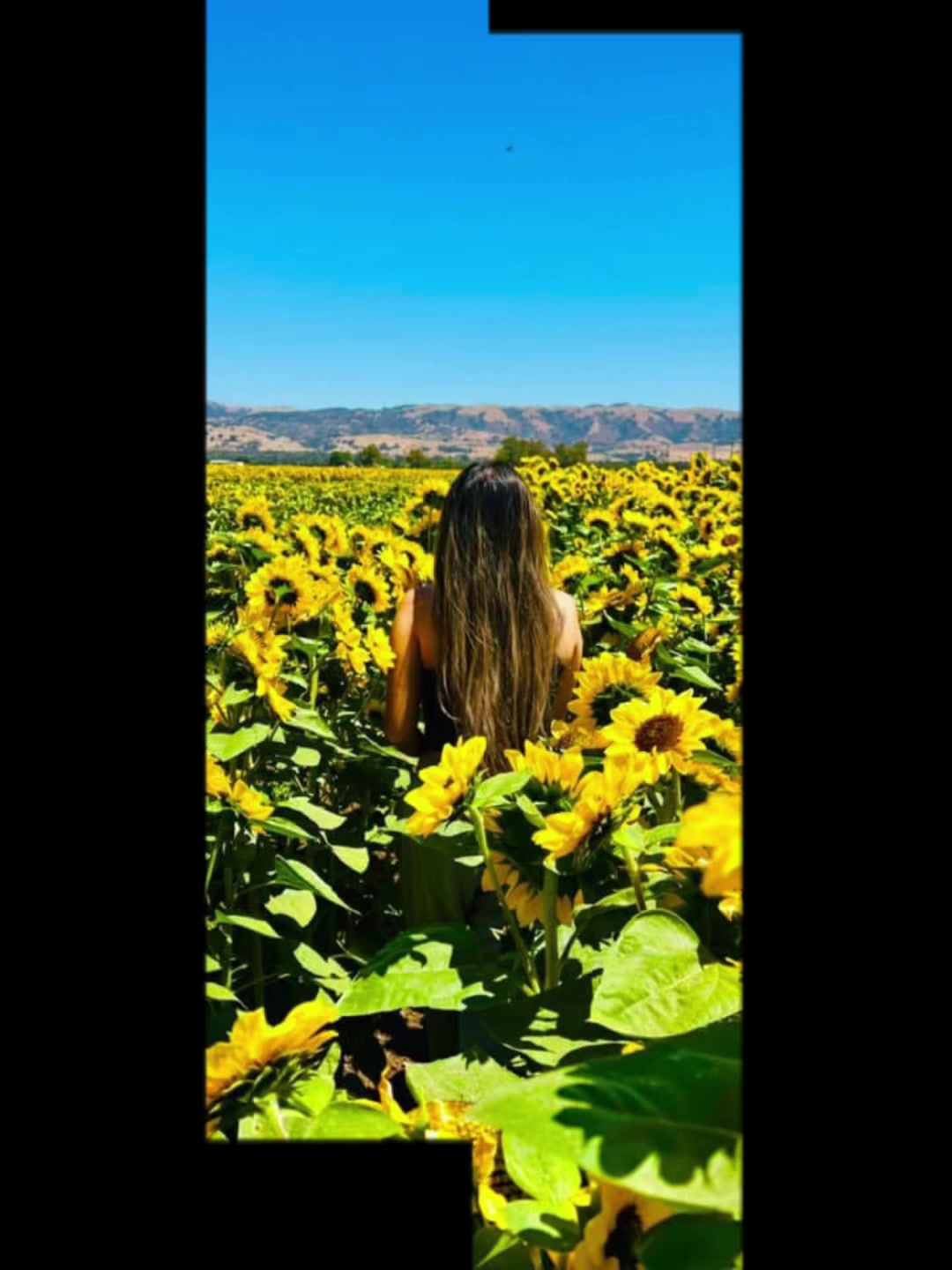 @ℳ ✨🎊