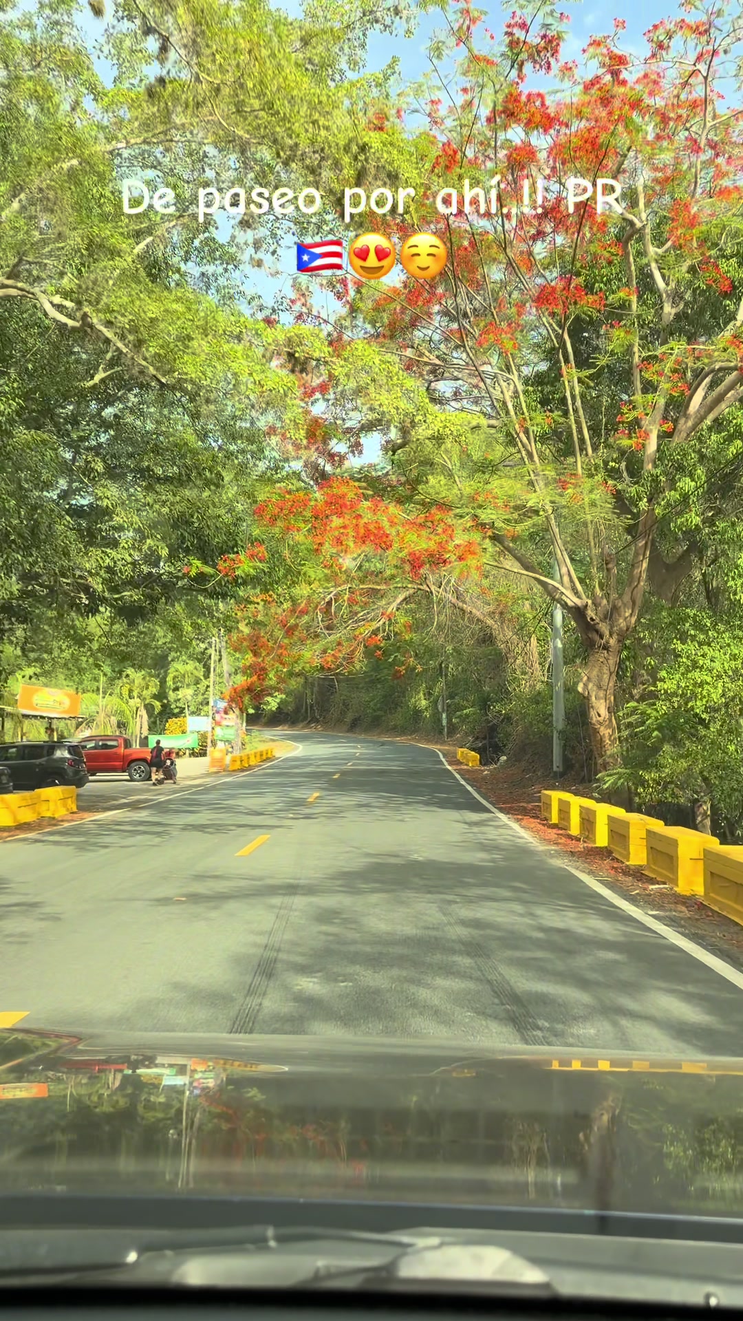 @@Rafael-PR🇵🇷