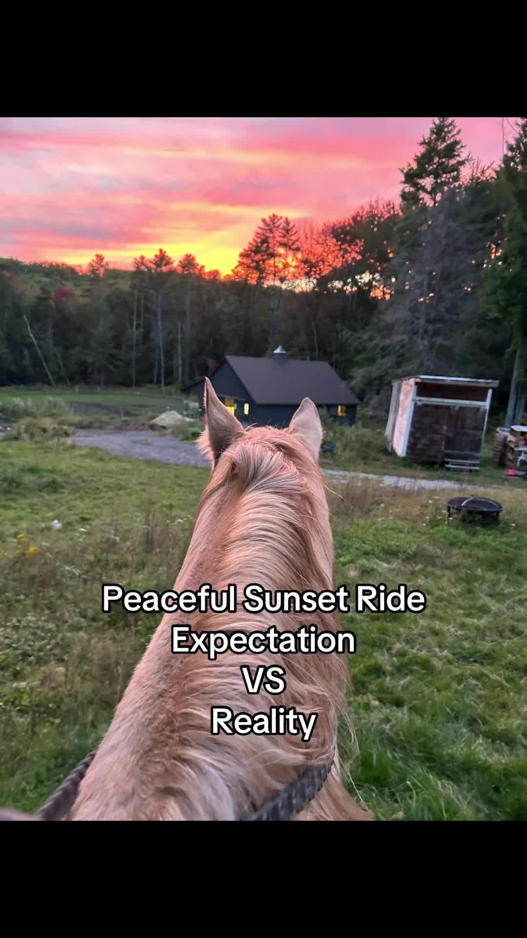 @Rooello