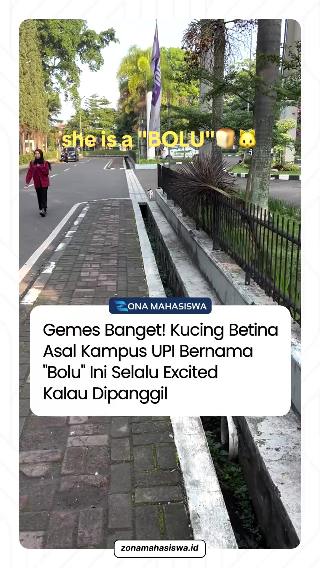 @Zona Mahasiswa