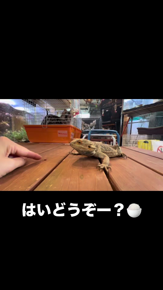 @総合ペットショップ ノーザンみしま
