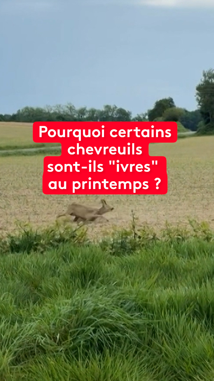@le20hfrancetelevisions