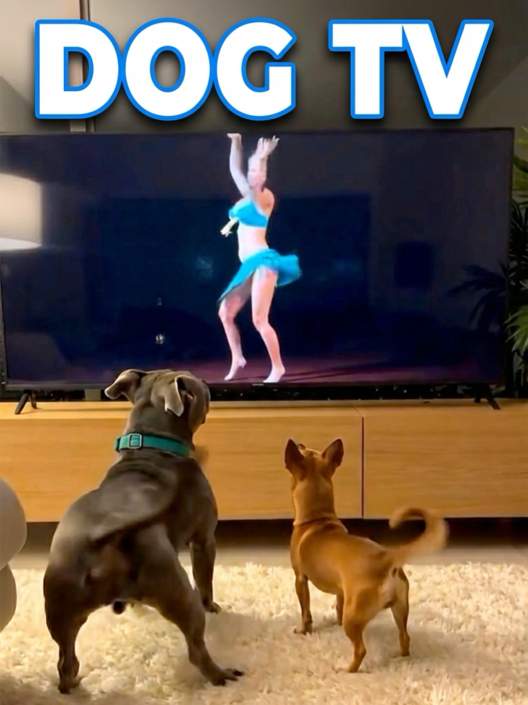 @Glowbom.com