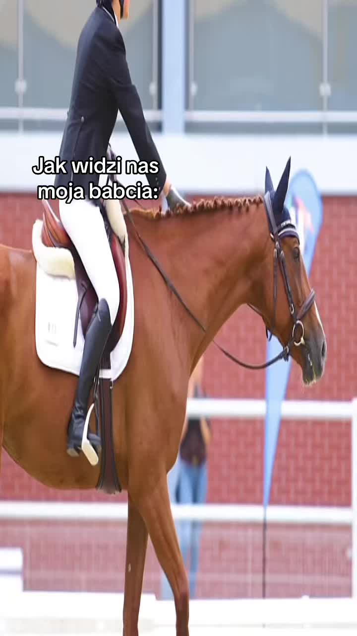 @ZofkaEq