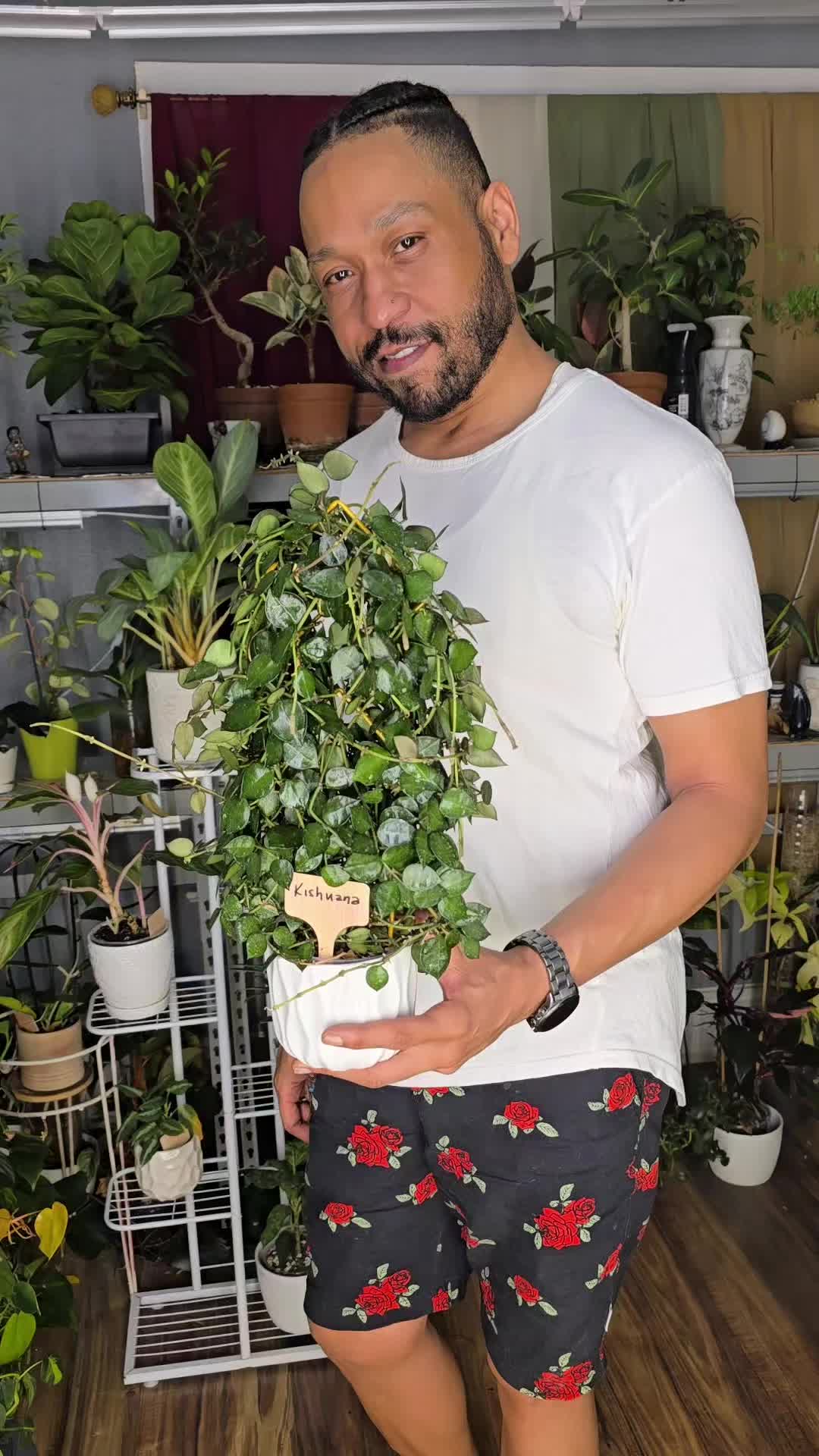 @JT - BigEGOPlants