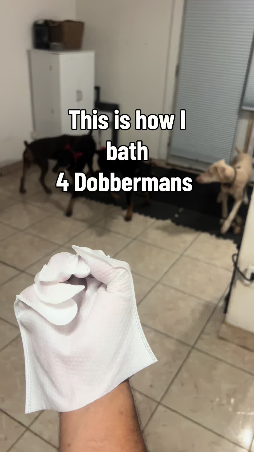 @BigBoy Thangz