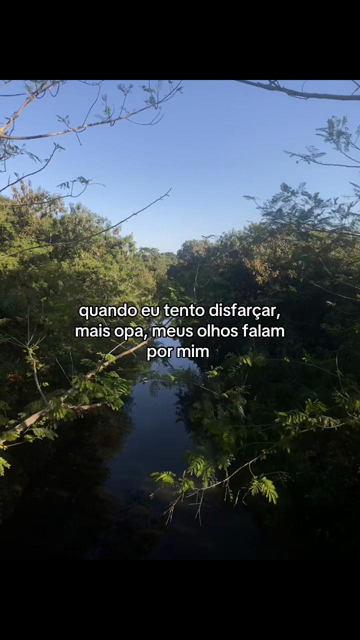 @mihh.xts