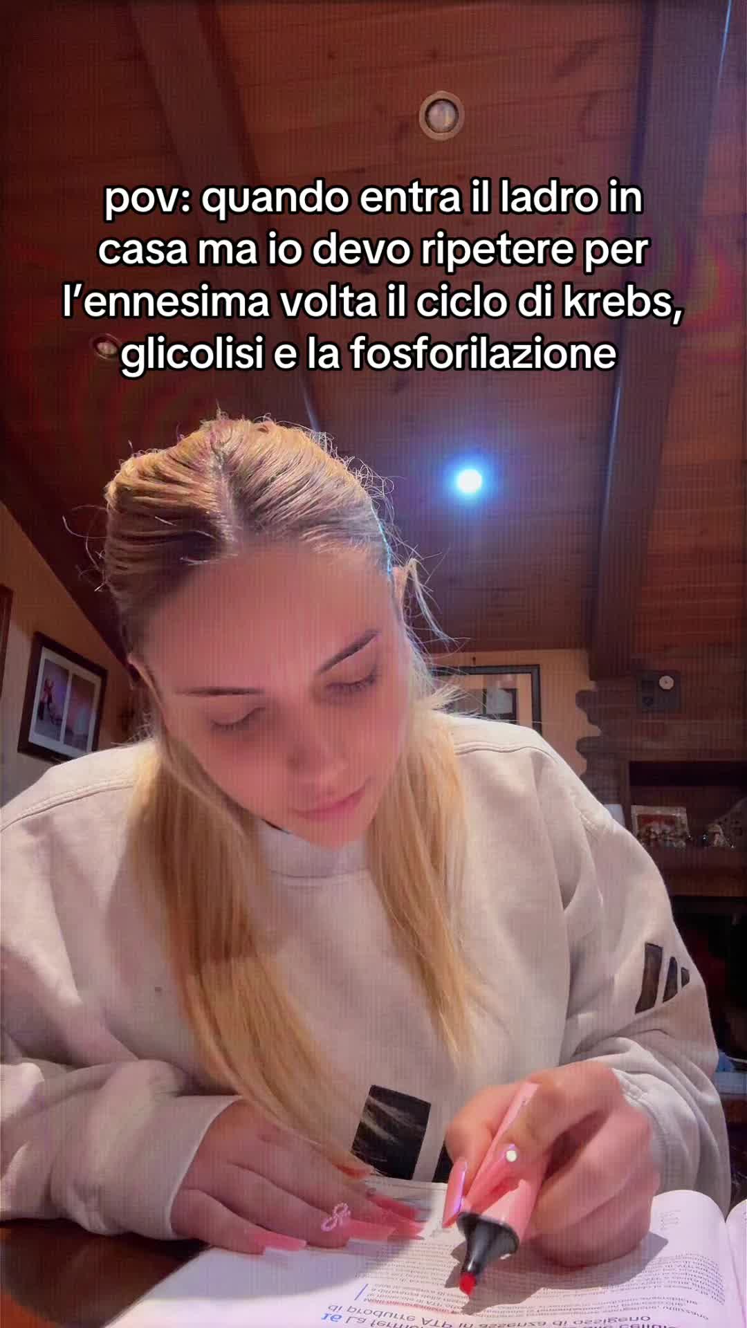 @auroramengoni