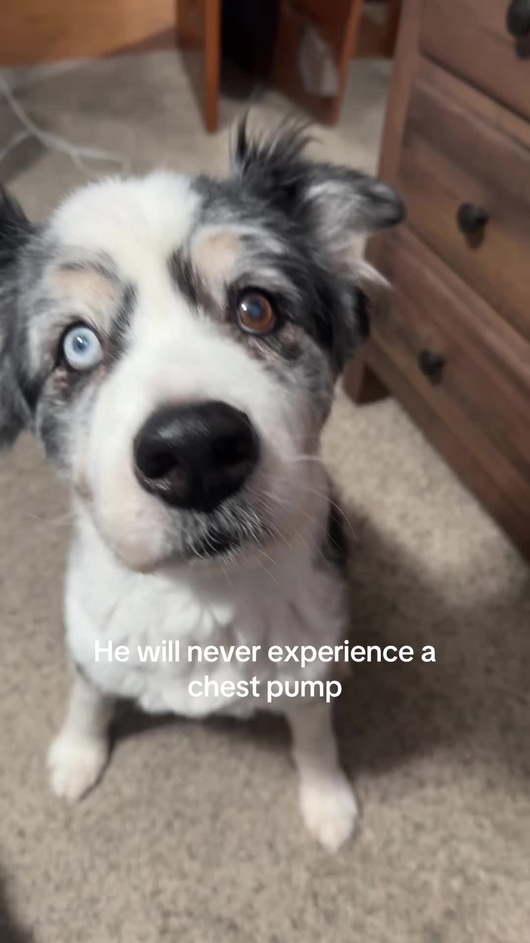 @eastonstackis