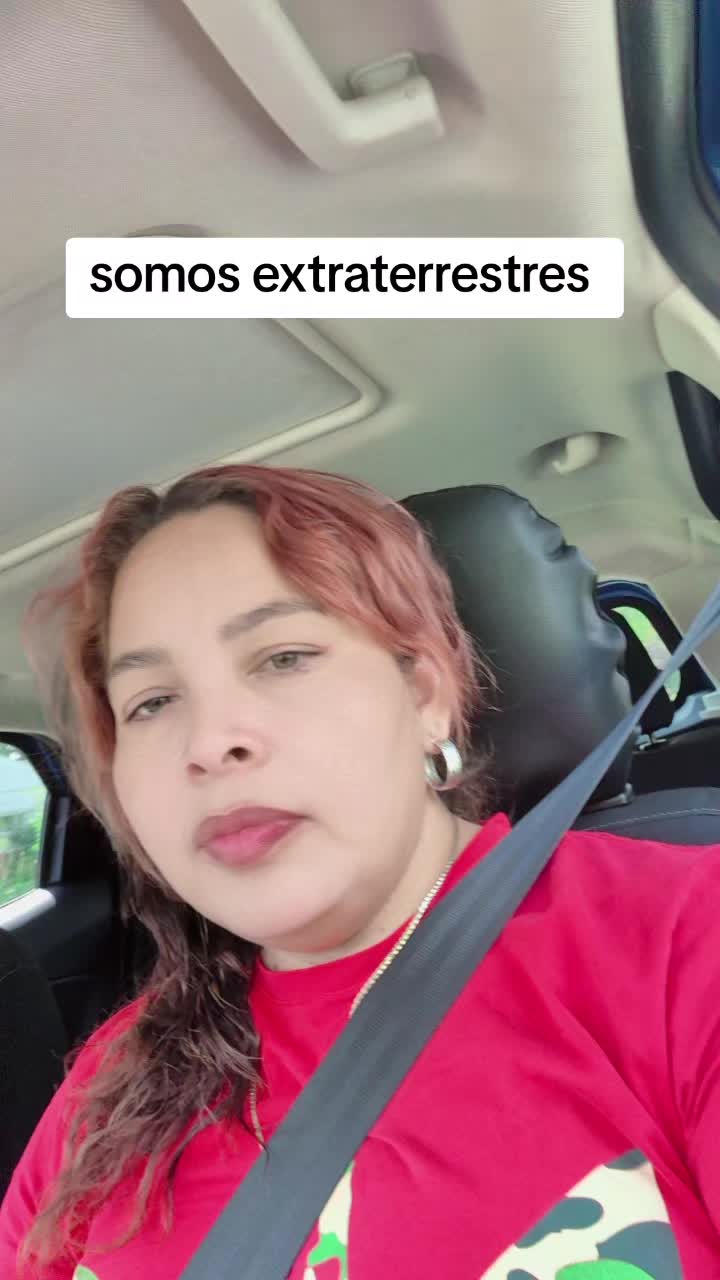 @el ave fénix