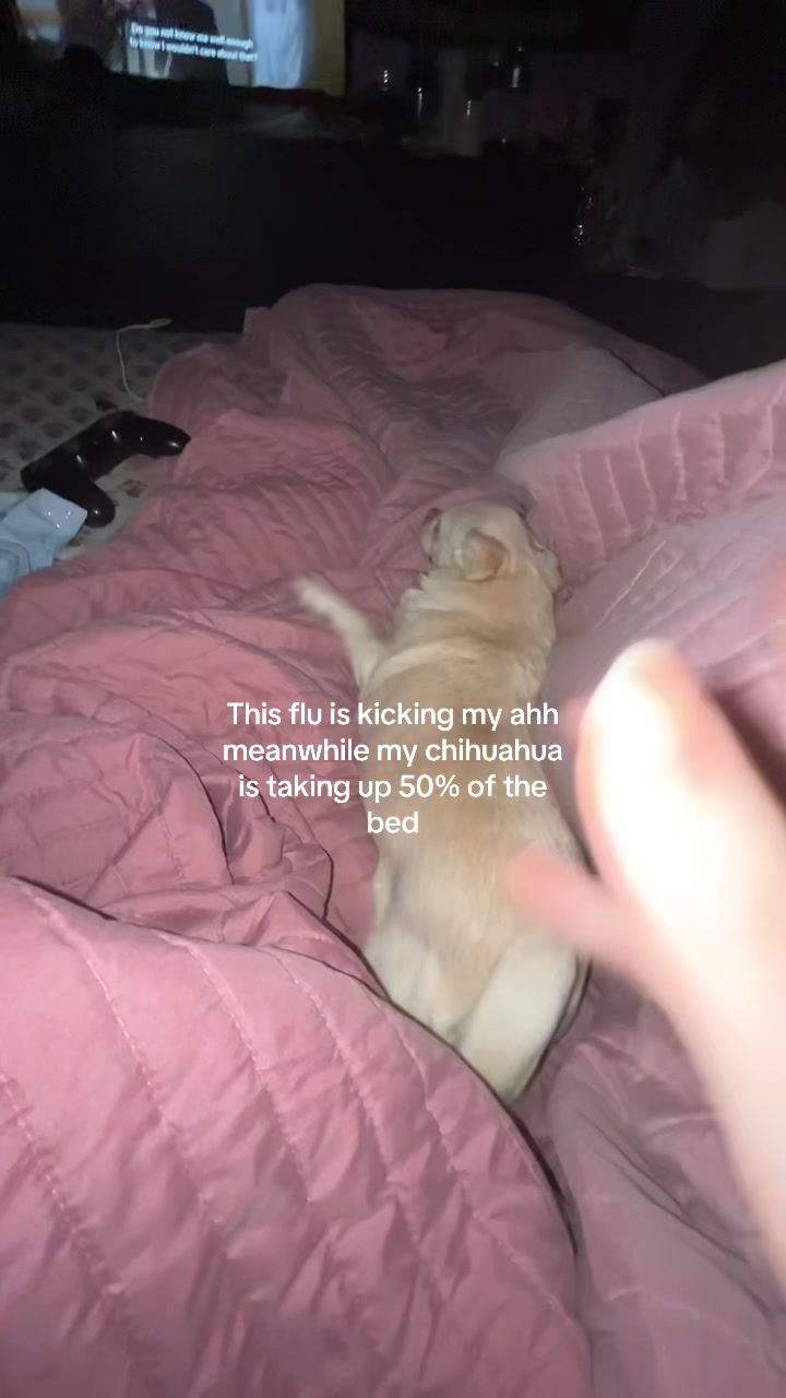 @devvracks