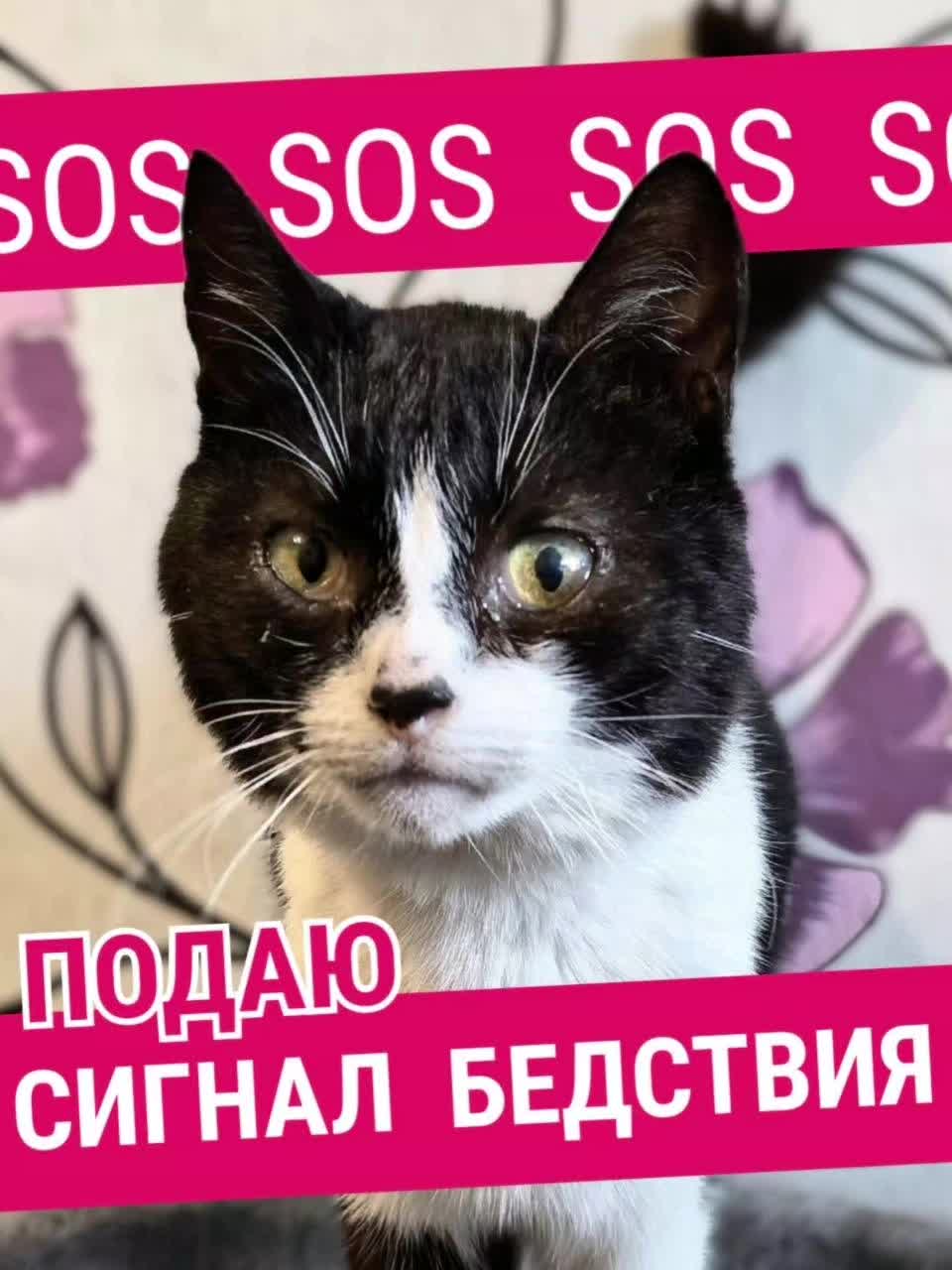 @Julia/Арсения!!