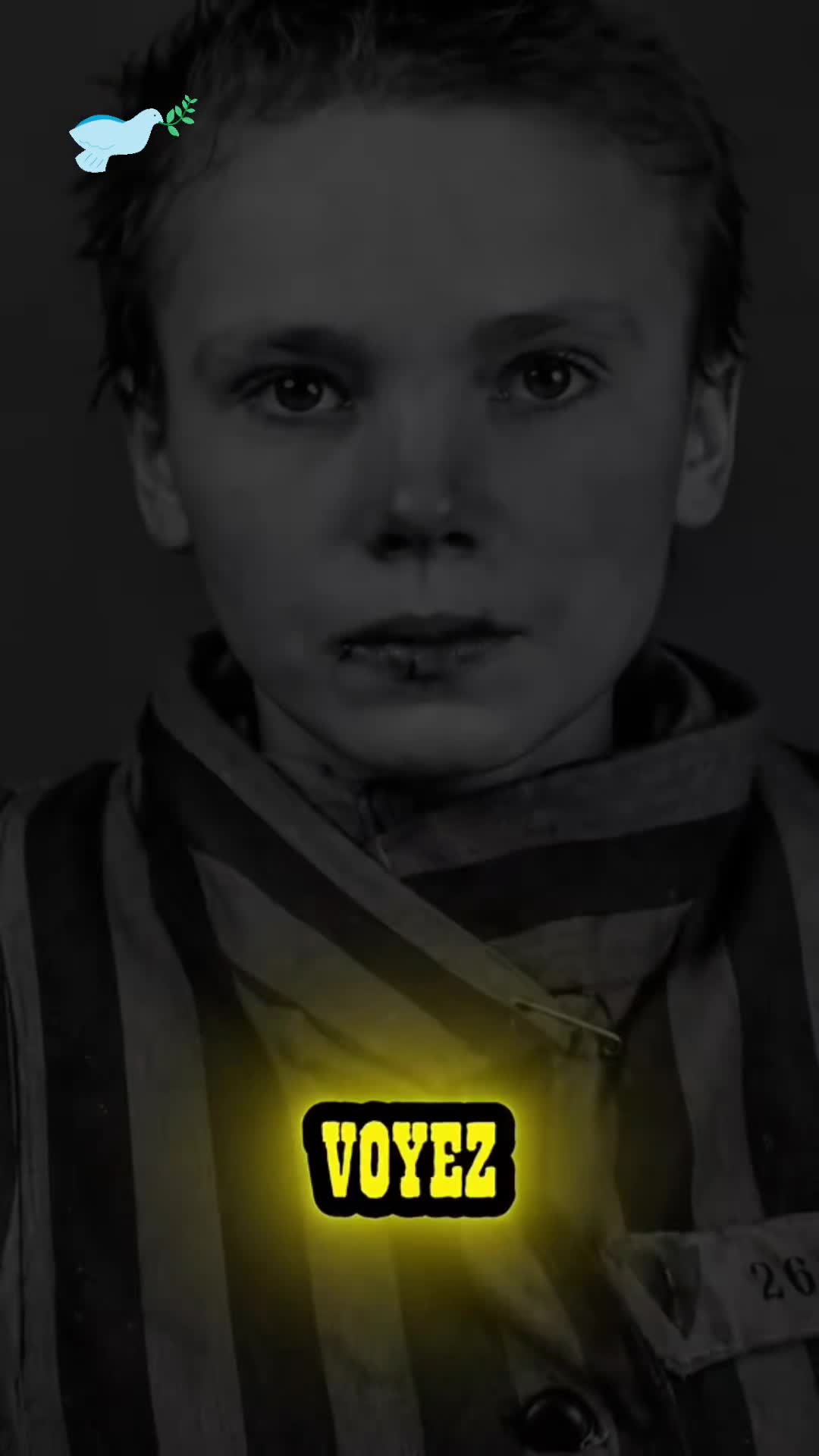 @Jeff gamer29120