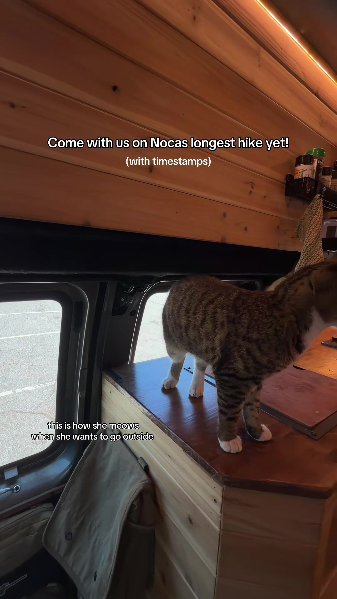 @Noca