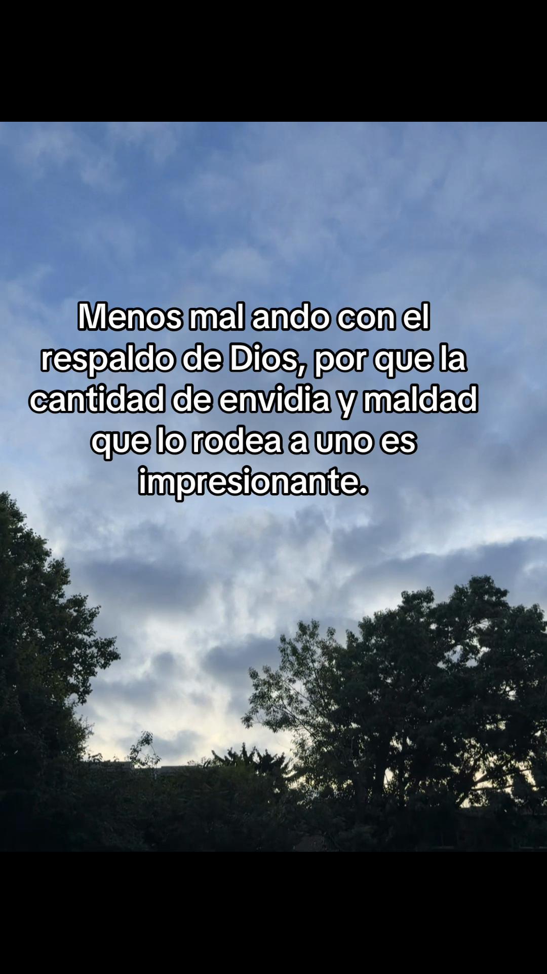 @sindyflores730
