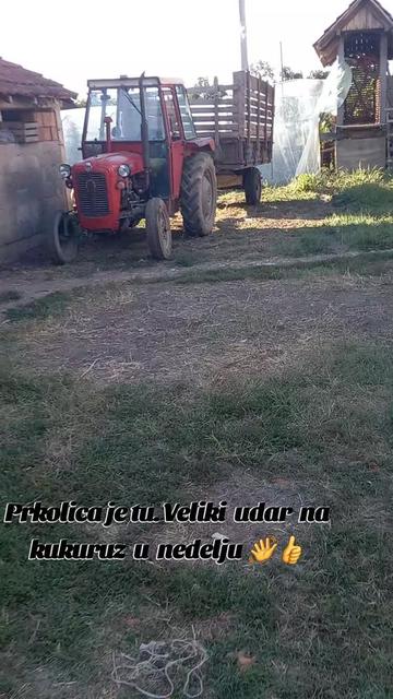 @🇷🇸🦬VLADIMIR 81🦬🇷🇸