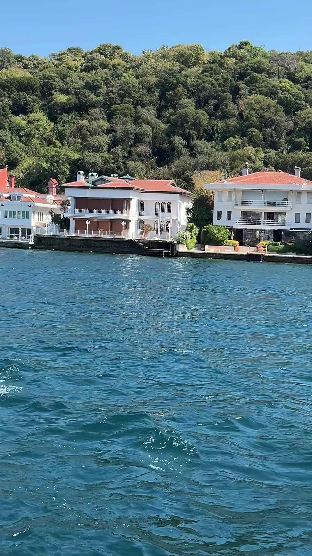 @taki hammod
