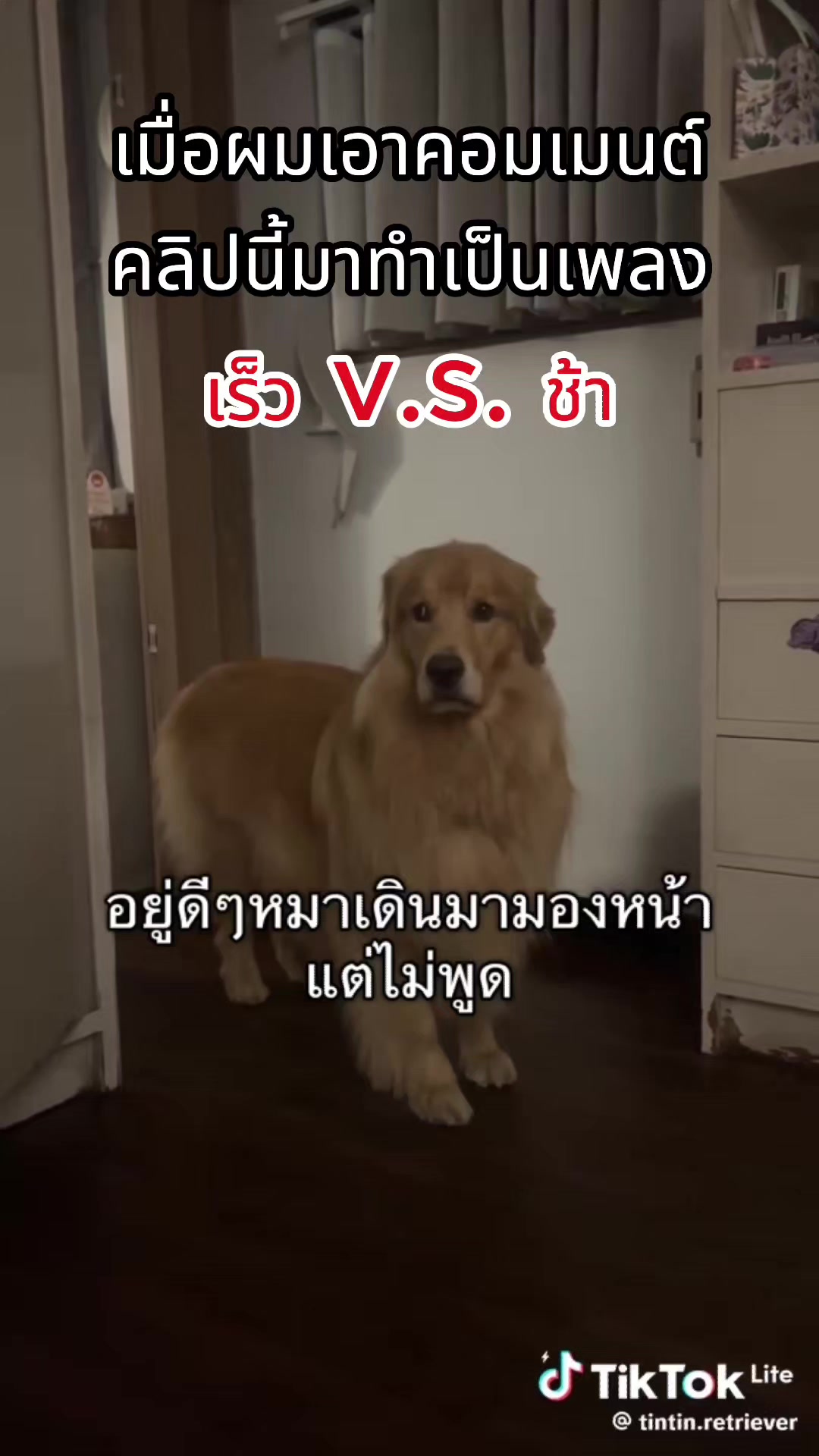 @ผักกาดดด