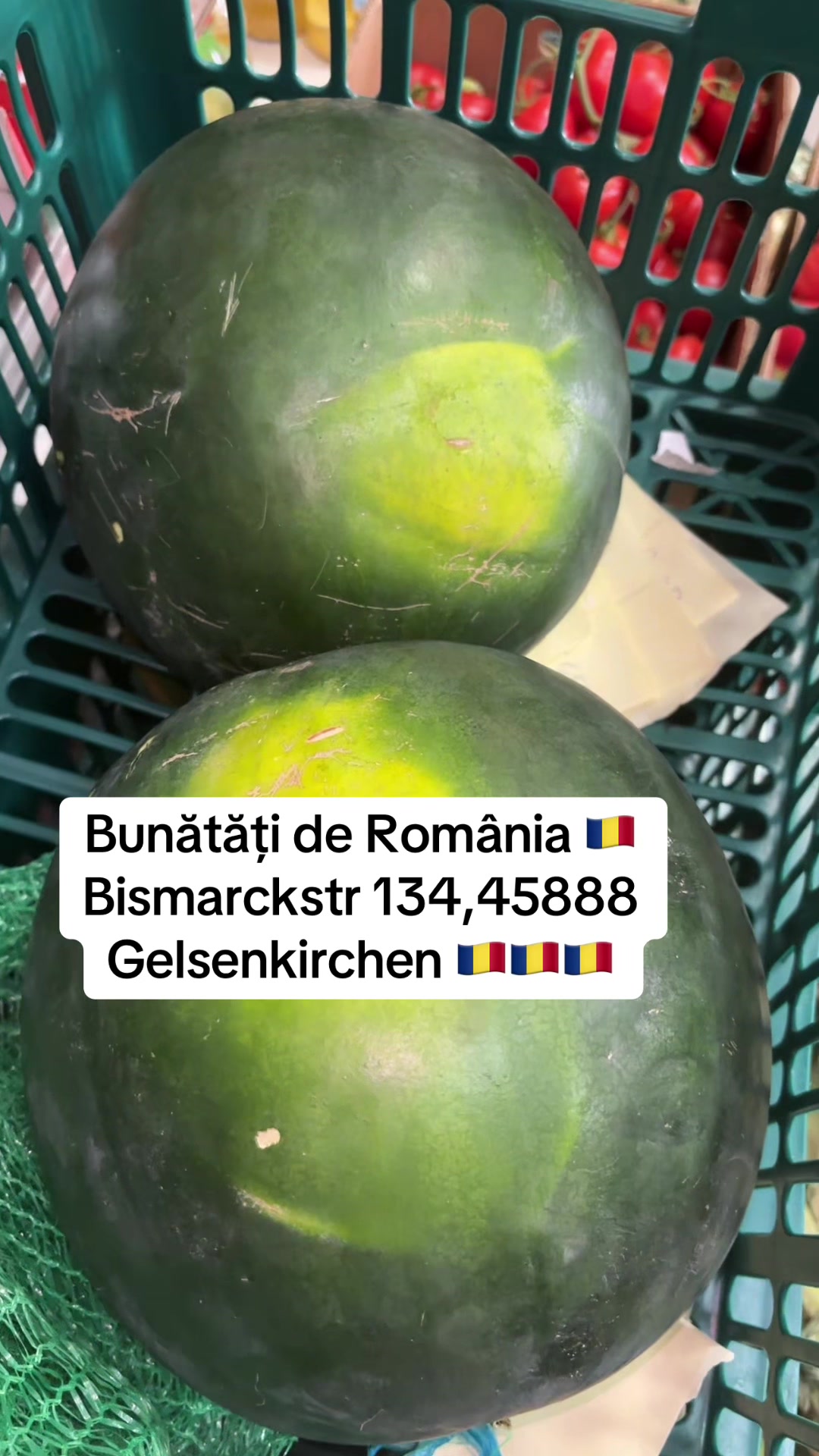 @Gustul De Acasă Gelsenkirchen